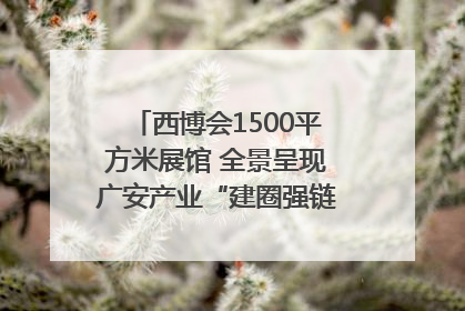 西博会1500平方米展馆 全景呈现广安产业“建圈强链”｜西博视界