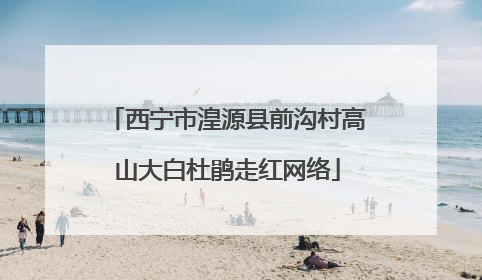 西宁市湟源县前沟村高山大白杜鹃走红网络
