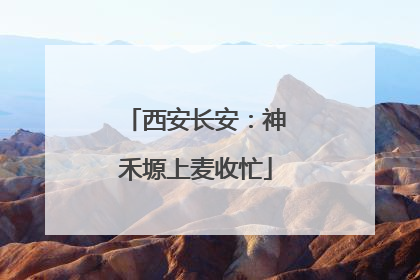 西安长安：神禾塬上麦收忙