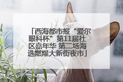 西海都市报“爱尔眼科杯”第11届社区嘉年华 第二场海选燃爆大新街夜市