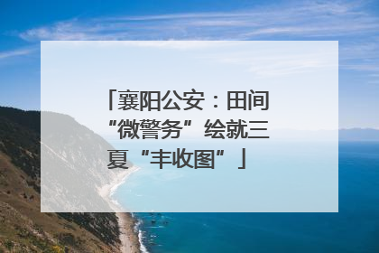 襄阳公安：田间“微警务”绘就三夏“丰收图”