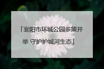 襄阳市环城公园多策并举 守护护城河生态