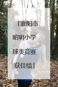 襄阳市昭明小学球类竞赛获佳绩