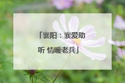 襄阳：襄爱助听 情暖老兵