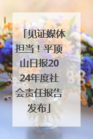 见证媒体担当！平顶山日报2024年度社会责任报告发布