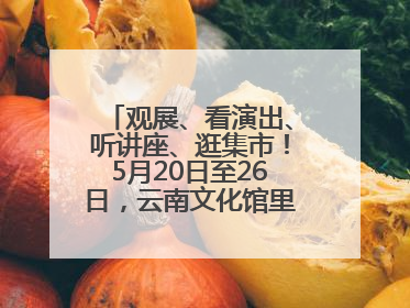 观展、看演出、听讲座、逛集市！5月20日至26日，云南文化馆里玩场多
