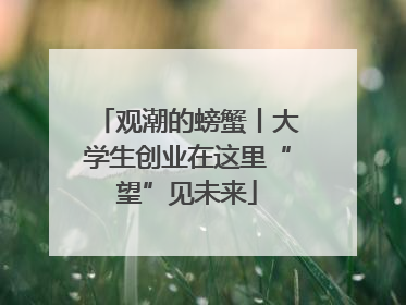 观潮的螃蟹丨大学生创业在这里“望”见未来