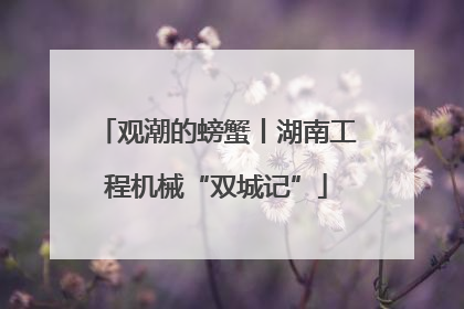 观潮的螃蟹丨湖南工程机械“双城记”