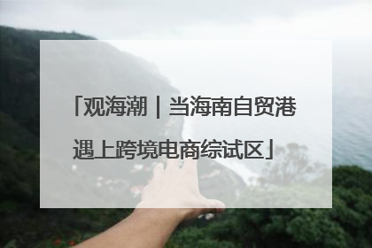 观海潮｜当海南自贸港遇上跨境电商综试区