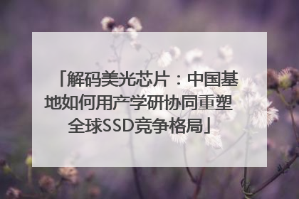 解码美光芯片：中国基地如何用产学研协同重塑全球SSD竞争格局