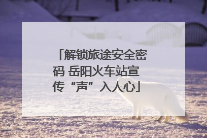 解锁旅途安全密码 岳阳火车站宣传“声”入人心