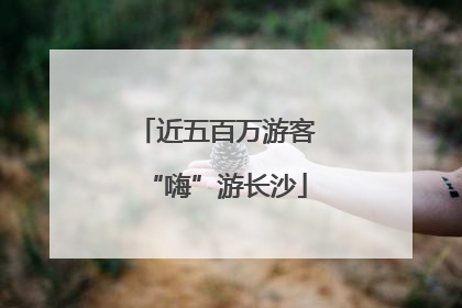 近五百万游客“嗨”游长沙
