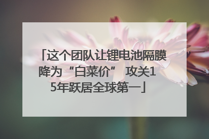 这个团队让锂电池隔膜降为“白菜价” 攻关15年跃居全球第一
