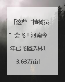 这些“植树员”会飞！河南今年已飞播造林13.63万亩