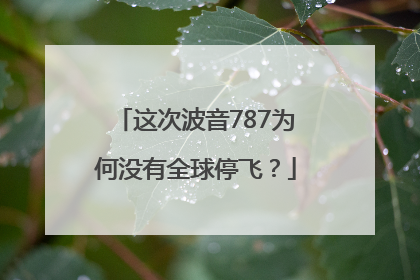 这次波音787为何没有全球停飞？