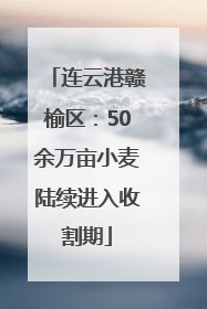 连云港赣榆区：50余万亩小麦陆续进入收割期