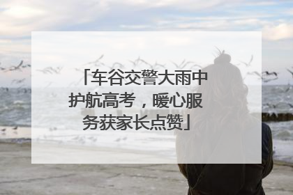 车谷交警大雨中护航高考，暖心服务获家长点赞