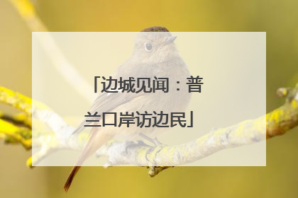 边城见闻：普兰口岸访边民