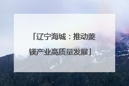 辽宁海城：推动菱镁产业高质量发展
