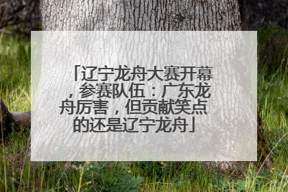 辽宁龙舟大赛开幕，参赛队伍：广东龙舟厉害，但贡献笑点的还是辽宁龙舟