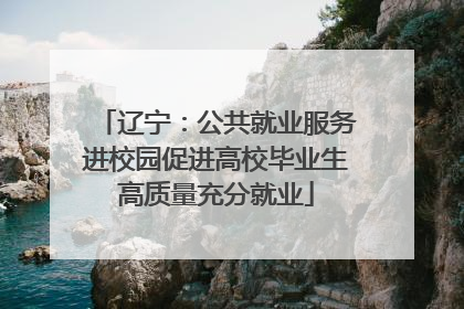 辽宁：公共就业服务进校园促进高校毕业生高质量充分就业