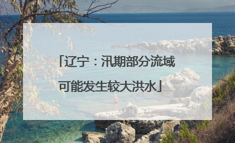 辽宁：汛期部分流域可能发生较大洪水