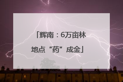 辉南：6万亩林地点“药”成金