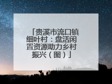 贵溪市流口镇细叶村：盘活闲置资源助力乡村振兴（图）