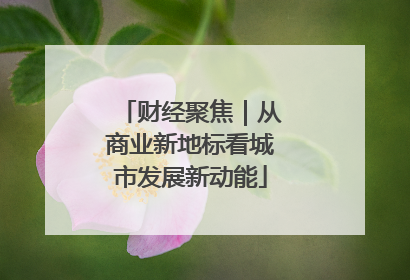 财经聚焦｜从商业新地标看城市发展新动能