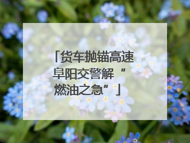 货车抛锚高速 阜阳交警解“燃油之急”