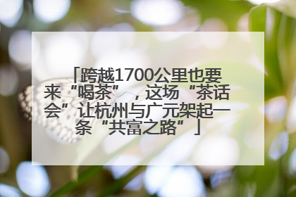 跨越1700公里也要来“喝茶”，这场“茶话会”让杭州与广元架起一条“共富之路”