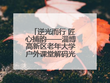 逆光而行 匠心捕韵——淄博高新区老年大学户外课堂解码光影美学密码