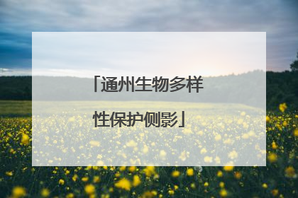 通州生物多样性保护侧影
