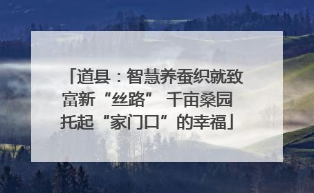 道县：智慧养蚕织就致富新“丝路” 千亩桑园托起“家门口”的幸福