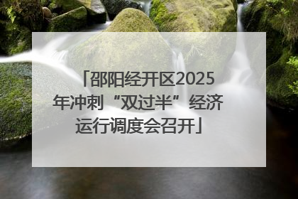 邵阳经开区2025年冲刺“双过半”经济运行调度会召开