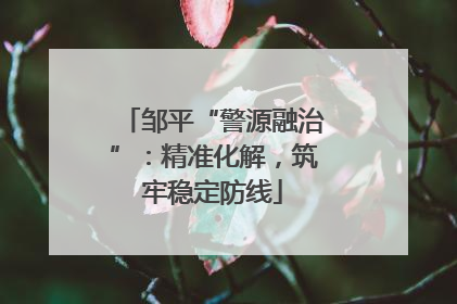 邹平“警源融治”：精准化解，筑牢稳定防线