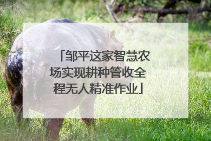 邹平这家智慧农场实现耕种管收全程无人精准作业
