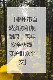 郴州市自然资源和规划局：筑牢安全防线 守护群众平安