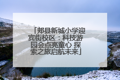 郏县新城小学迎宾街校区：科技游园会点亮童心 探索之旅启航未来