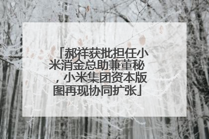 郝祥获批担任小米消金总助兼董秘，小米集团资本版图再现协同扩张