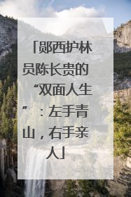 郧西护林员陈长贵的“双面人生”：左手青山，右手亲人