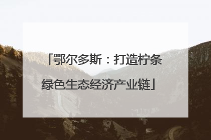 鄂尔多斯：打造柠条绿色生态经济产业链