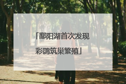 鄱阳湖首次发现彩鹮筑巢繁殖