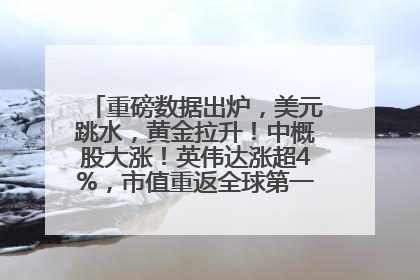 重磅数据出炉，美元跳水，黄金拉升！中概股大涨！英伟达涨超4%，市值重返全球第一！黄仁勋计划出售至多600万股股票