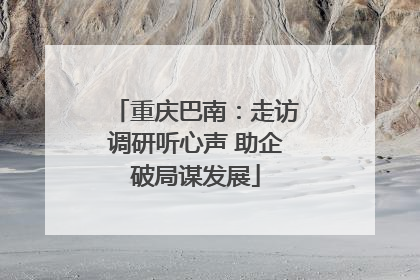 重庆巴南：走访调研听心声 助企破局谋发展