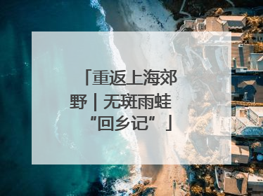 重返上海郊野｜无斑雨蛙“回乡记”
