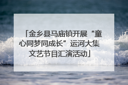 金乡县马庙镇开展“童心同梦同成长”运河大集文艺节目汇演活动