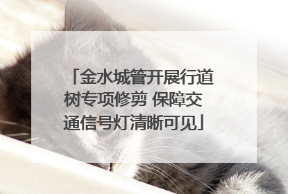 金水城管开展行道树专项修剪 保障交通信号灯清晰可见