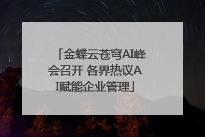 金蝶云苍穹AI峰会召开 各界热议AI赋能企业管理