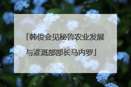 韩俊会见秘鲁农业发展与灌溉部部长马内罗